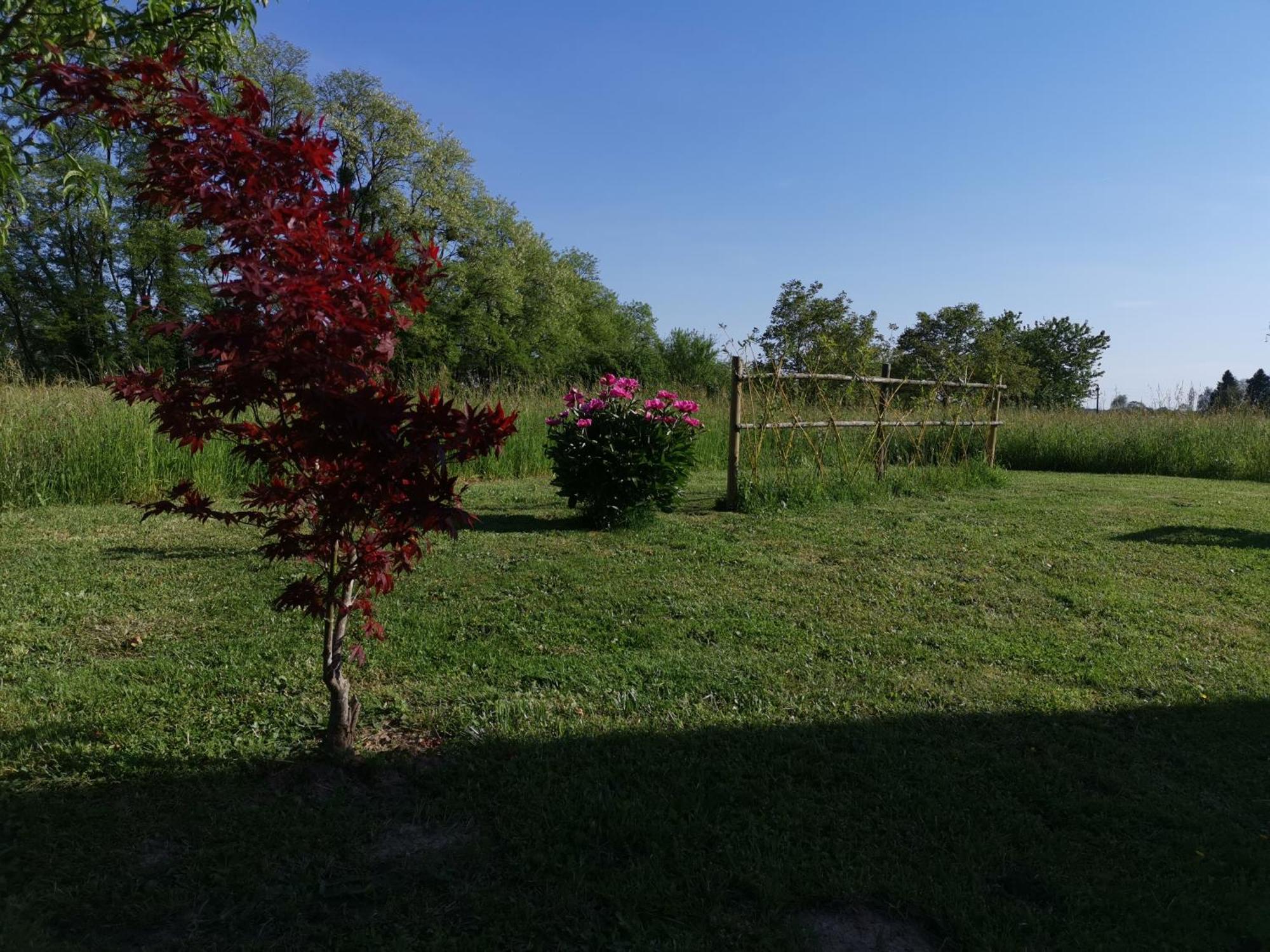 Bed and Breakfast La Ferme De La Terve Bruailles Esterno foto