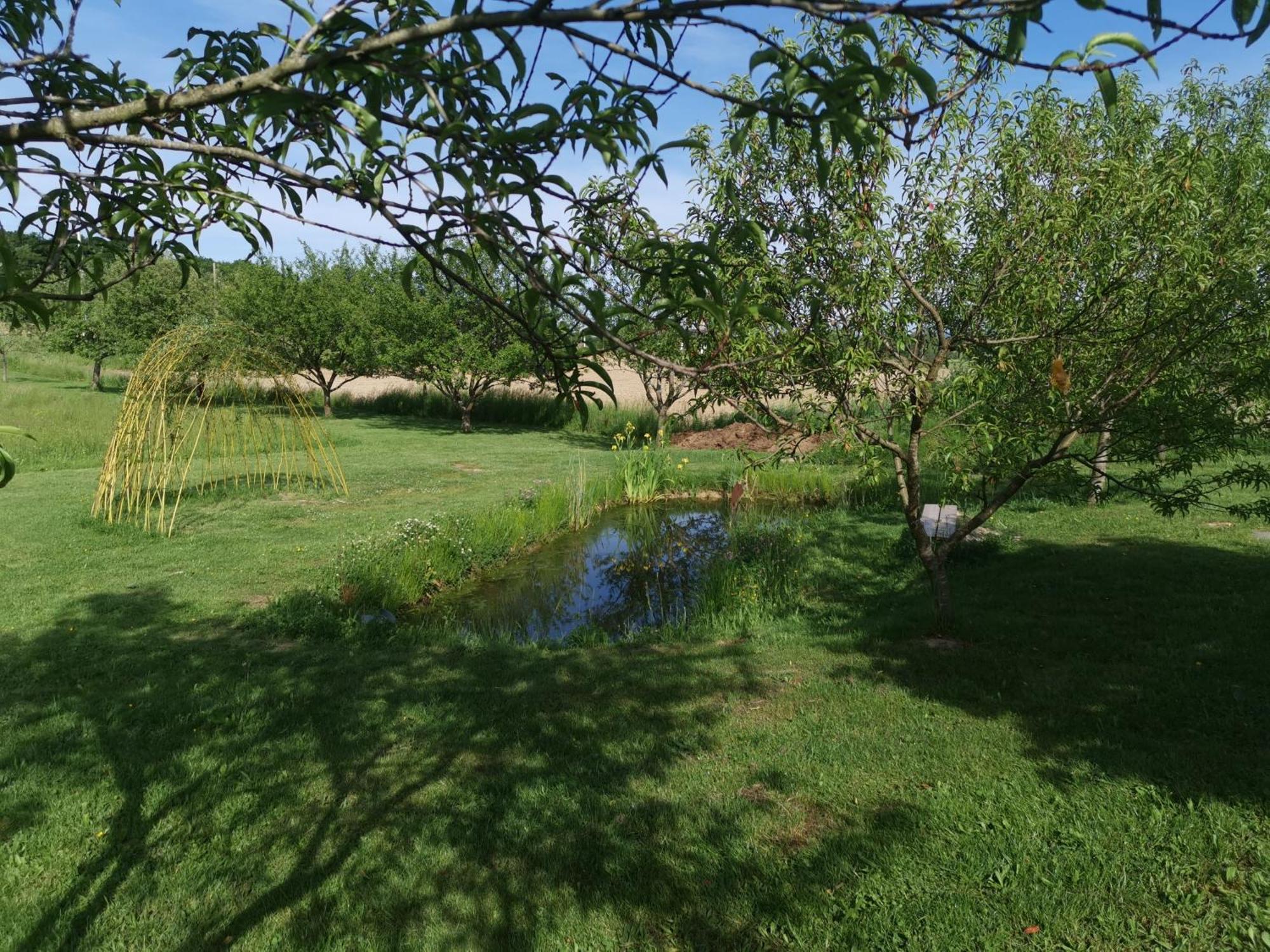 Bed and Breakfast La Ferme De La Terve Bruailles Esterno foto